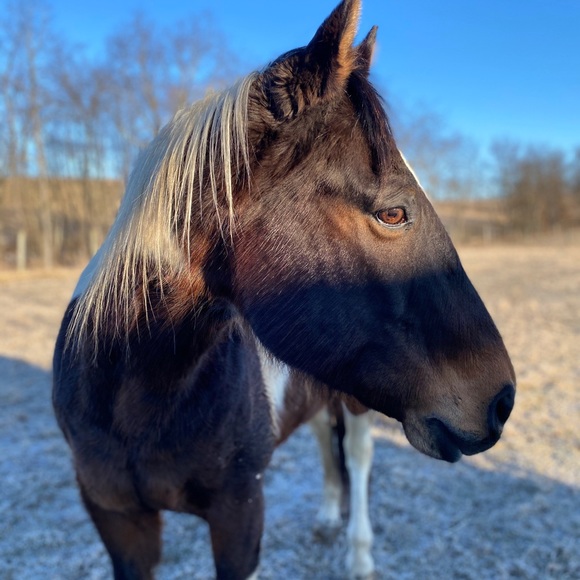 Meet your Posher, Jenny - Picture 15 of 17